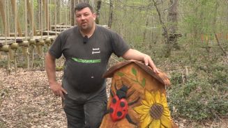 Traumberuf für Naturburschen: Kettensägen-Künstler