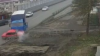 Unfallgaffer: Diese Hunde werden von Crashs angezogen