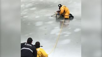 Dramatische Rettung: Feuerwehrmann verhindert Kältetod